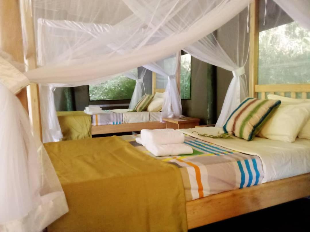 Gorilla Hills Eco-Lodge Kisoro Exterior foto